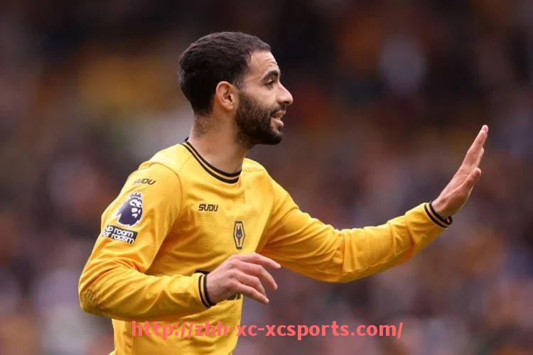 杏彩体育-法甲门将精彩扑救镜头合辑：神扑定江山