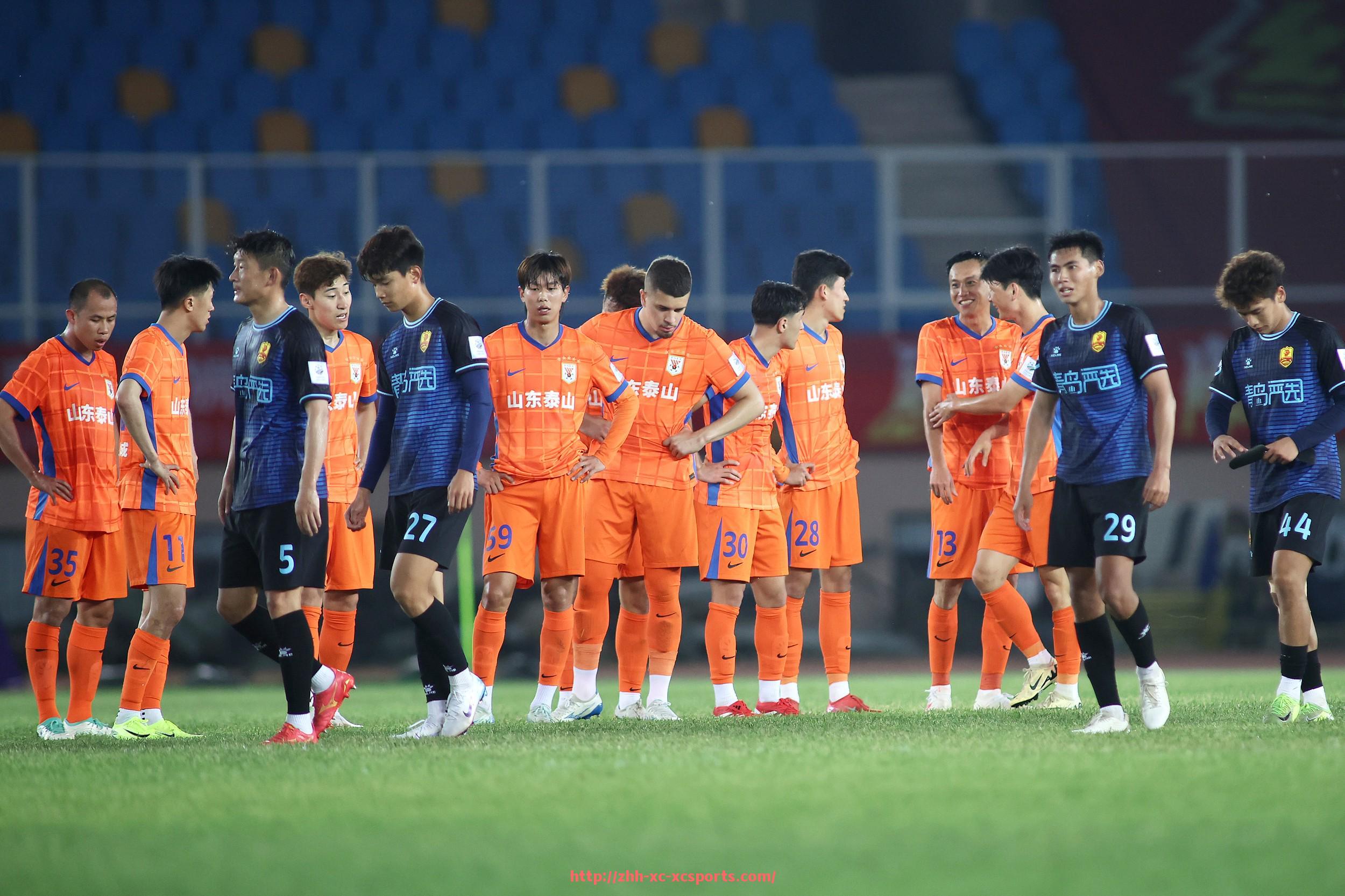 杏彩体育-法甲马赛球迷支持率:法甲马赛球迷支持率与球队影响力研究