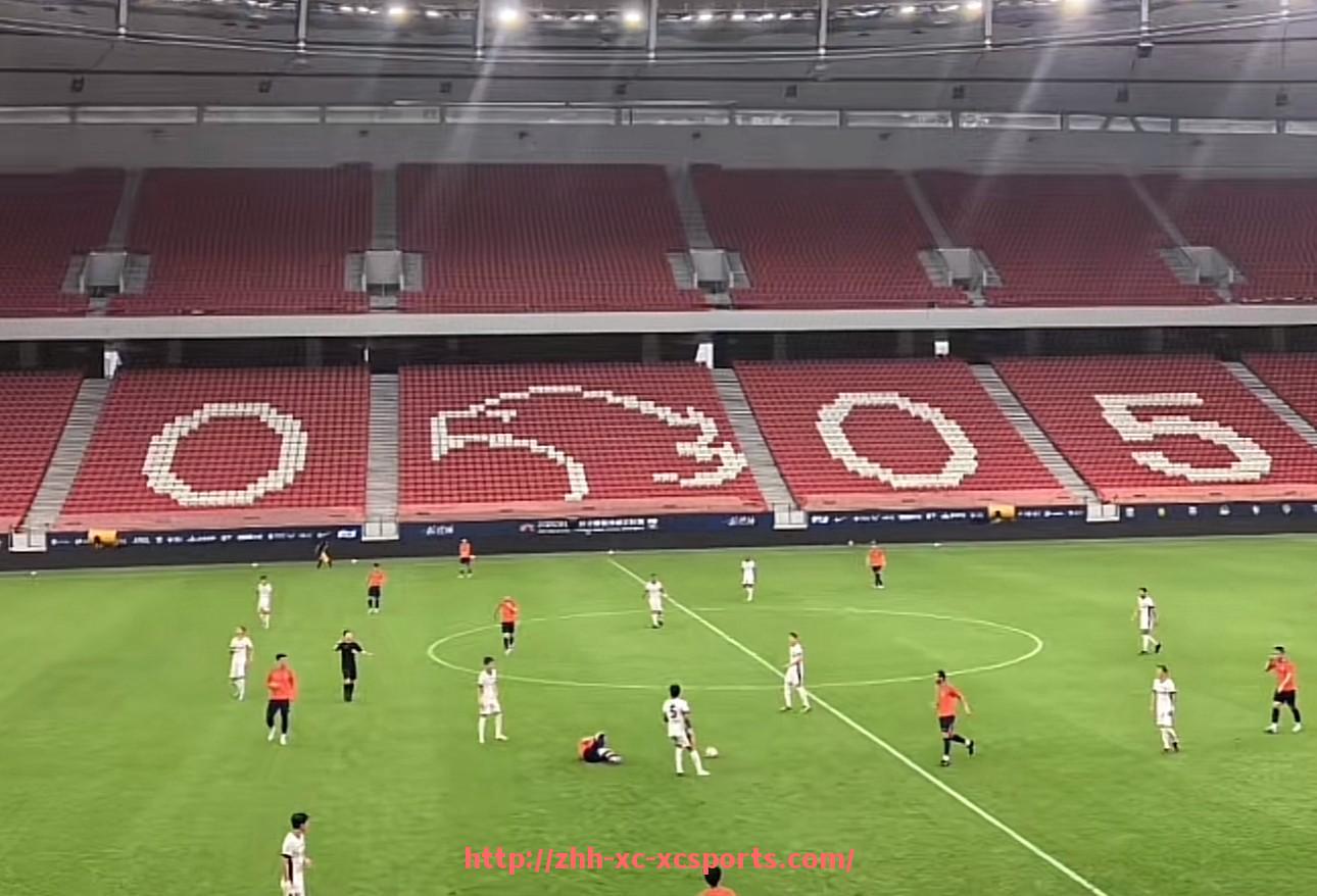 杏彩体育-法甲马赛年度社交媒体热度与球迷互动情况